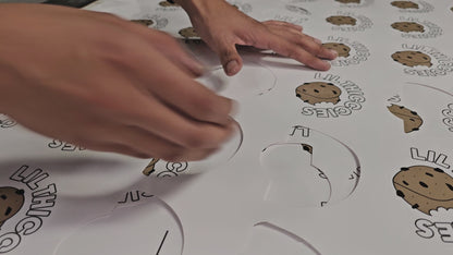 Laminated Die-Cut Vinyl Stickers